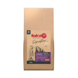 BAB'IN SIGNATURE SANS...